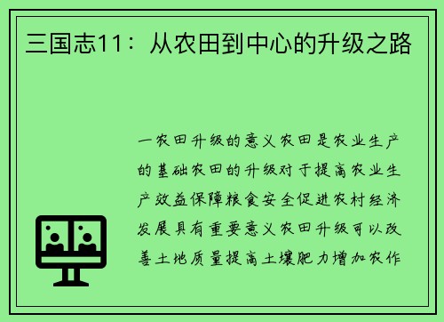三国志11：从农田到中心的升级之路