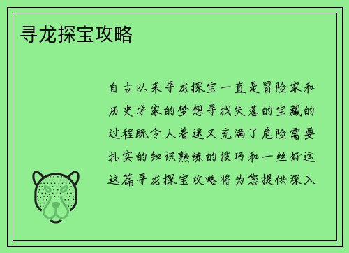 寻龙探宝攻略
